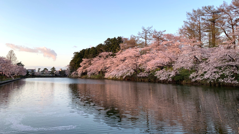 高田城址公園車：約7分