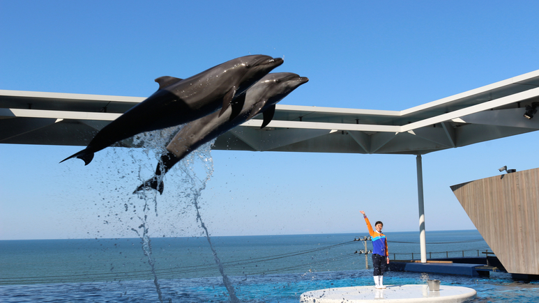 上越市立水族博物館 うみがたり車：23分