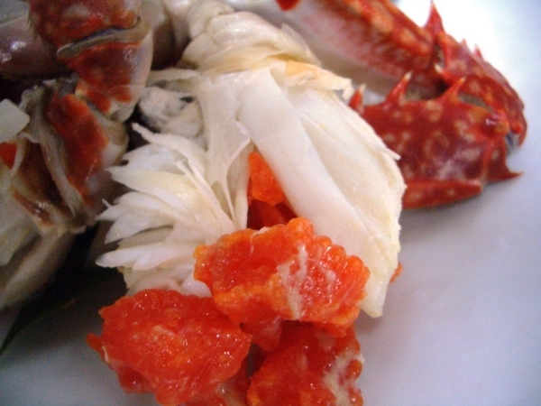 天草産渡り蟹