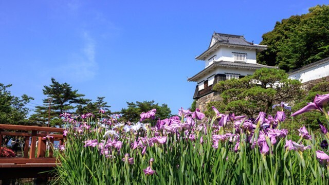 大村公園(玖島城跡)