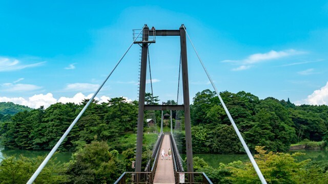 野岳湖公園