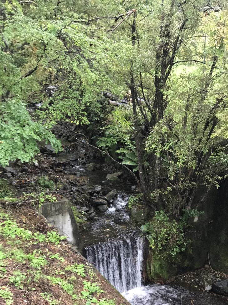 唐沢の滝