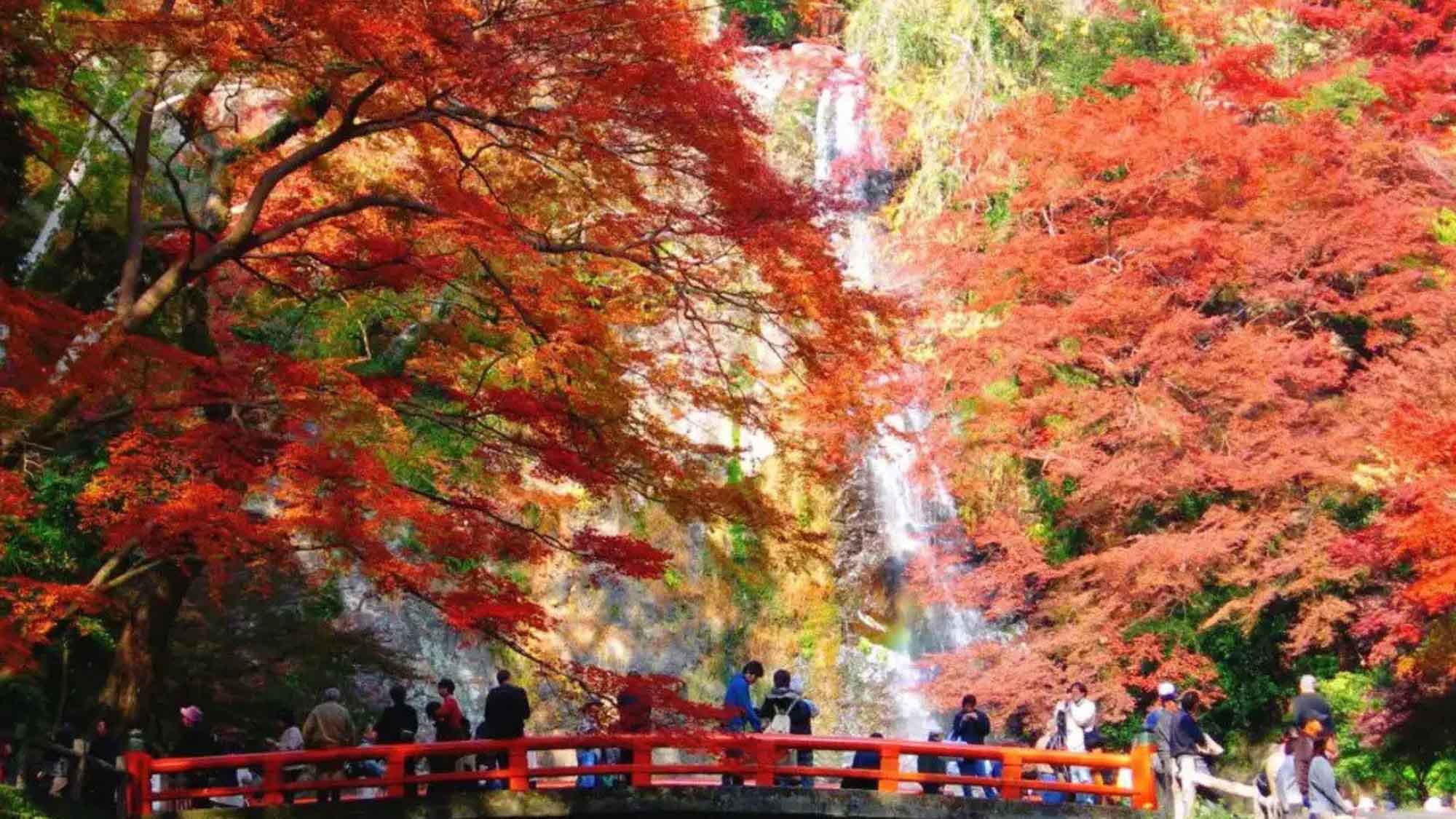 【大阪・箕面】箕面の滝は紅葉の季節に大人気の観光スポットです。