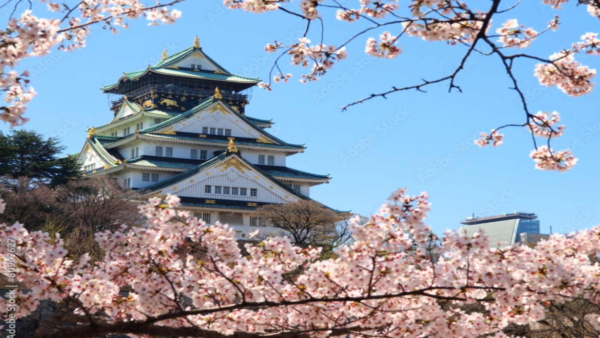 【大阪城】広大な敷地を誇る大阪城公園。四季の移ろいをお楽しみください。