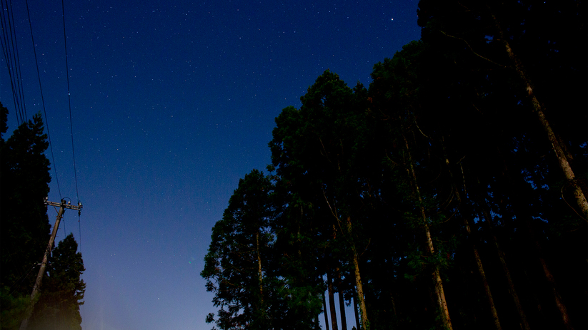 夜景