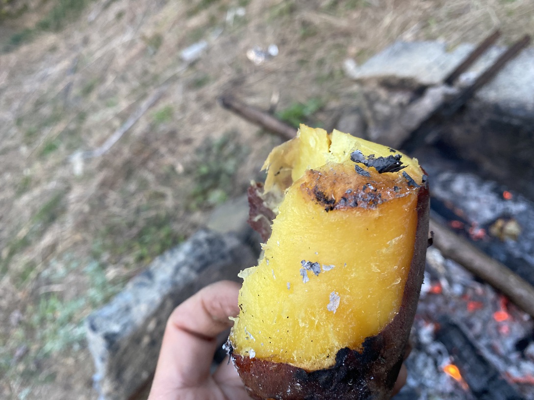 焼き芋作り体験