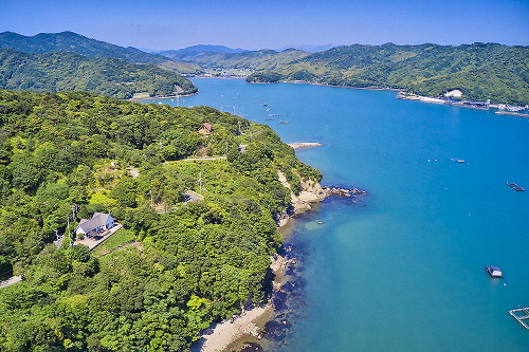 上空からの椿ハウスと椿湾