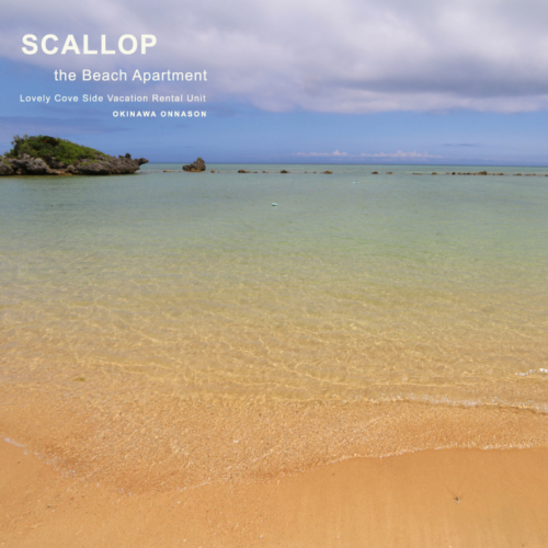【Scallop】美しい沖縄の海を存分にお楽しみ下さい