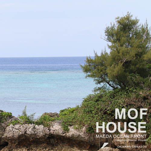 【MOF】｜澄み渡る青い空、海海遊びをお楽しみください。