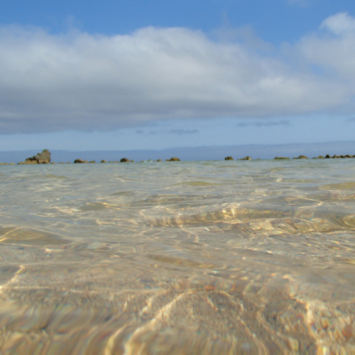 ホタテビーチ｜透明な海で、海遊びを楽しみましょう！