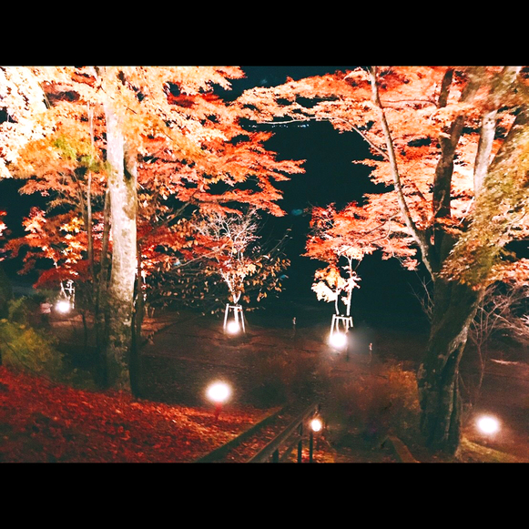 紅葉まつりライトアップされた紅葉を眺めながら、お散歩などいかがでしょうか