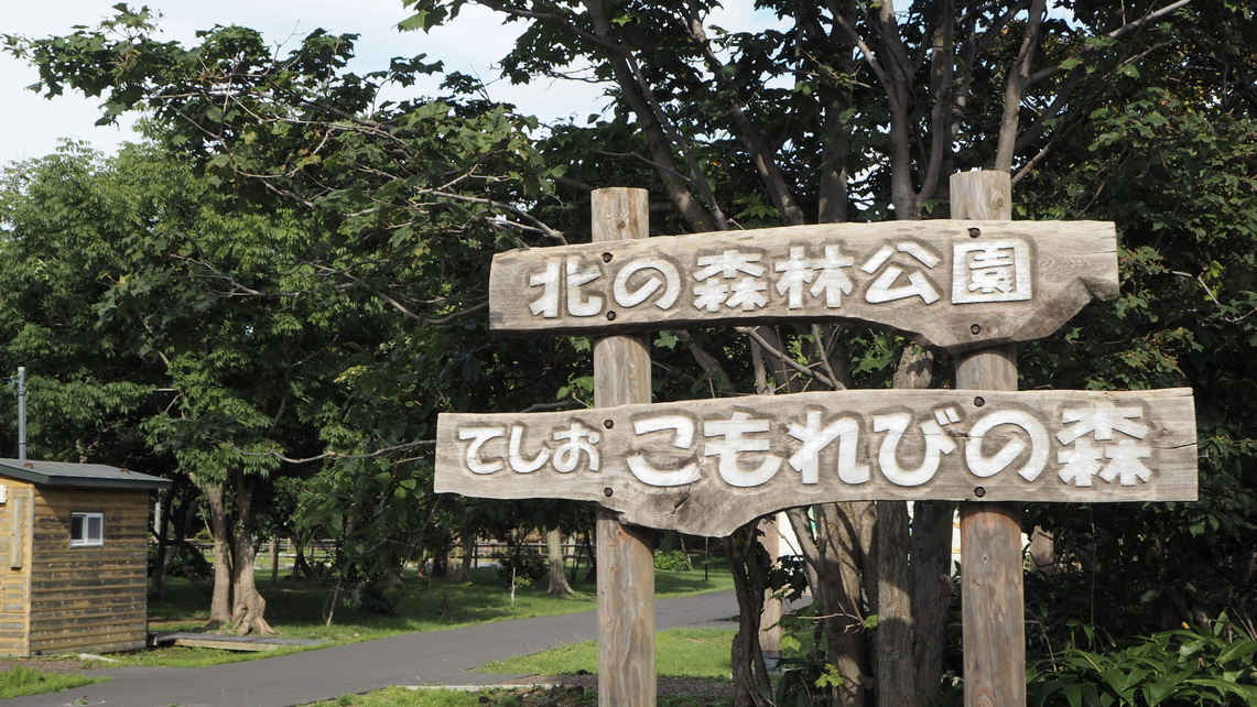 てしおこもれびの森 