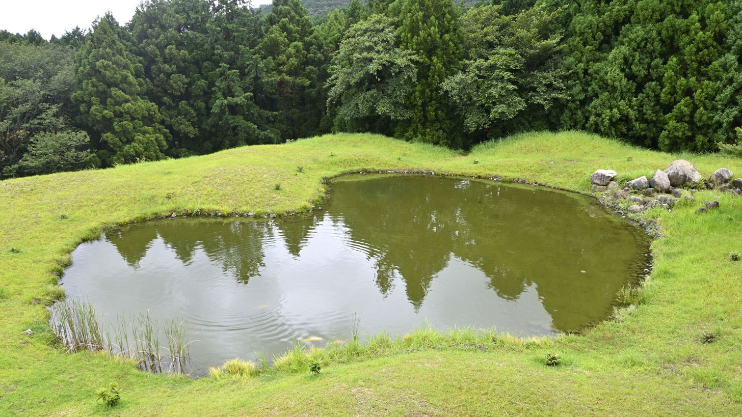 山上館から見える池