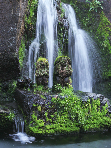 溢れる緑と見え隠れする風情豊かな滝