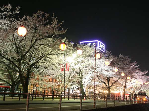 春は妖艶な夜桜をお楽しみ下さい