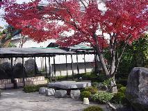 もみじの広場
