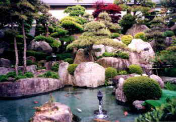 錦鯉の戯れる庭園