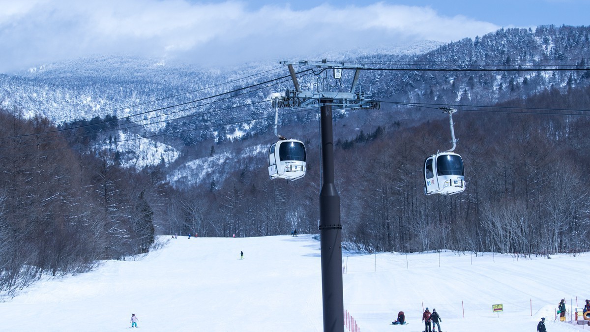 グランデコイメージ