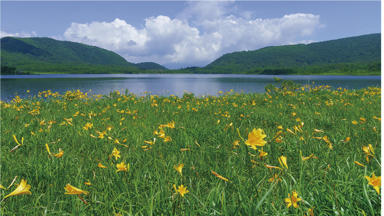 雄国沼イメージ
