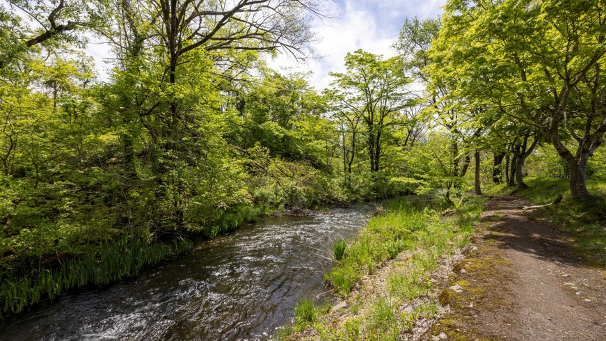 せせらぎウォーク（ホテル外周遊歩道）