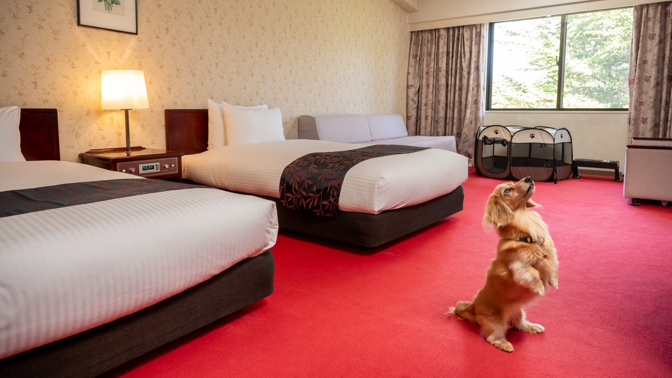 ドッグフレンドリーツイン