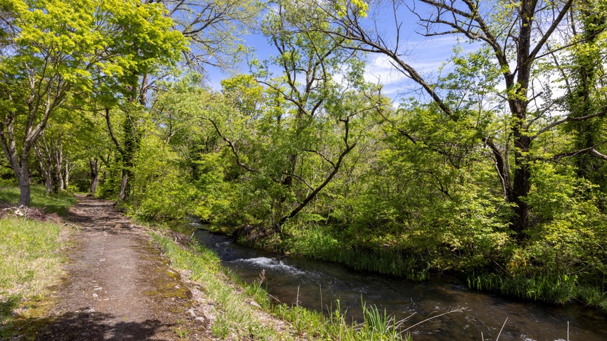 せせらぎウォーク（ホテル外周遊歩道）
