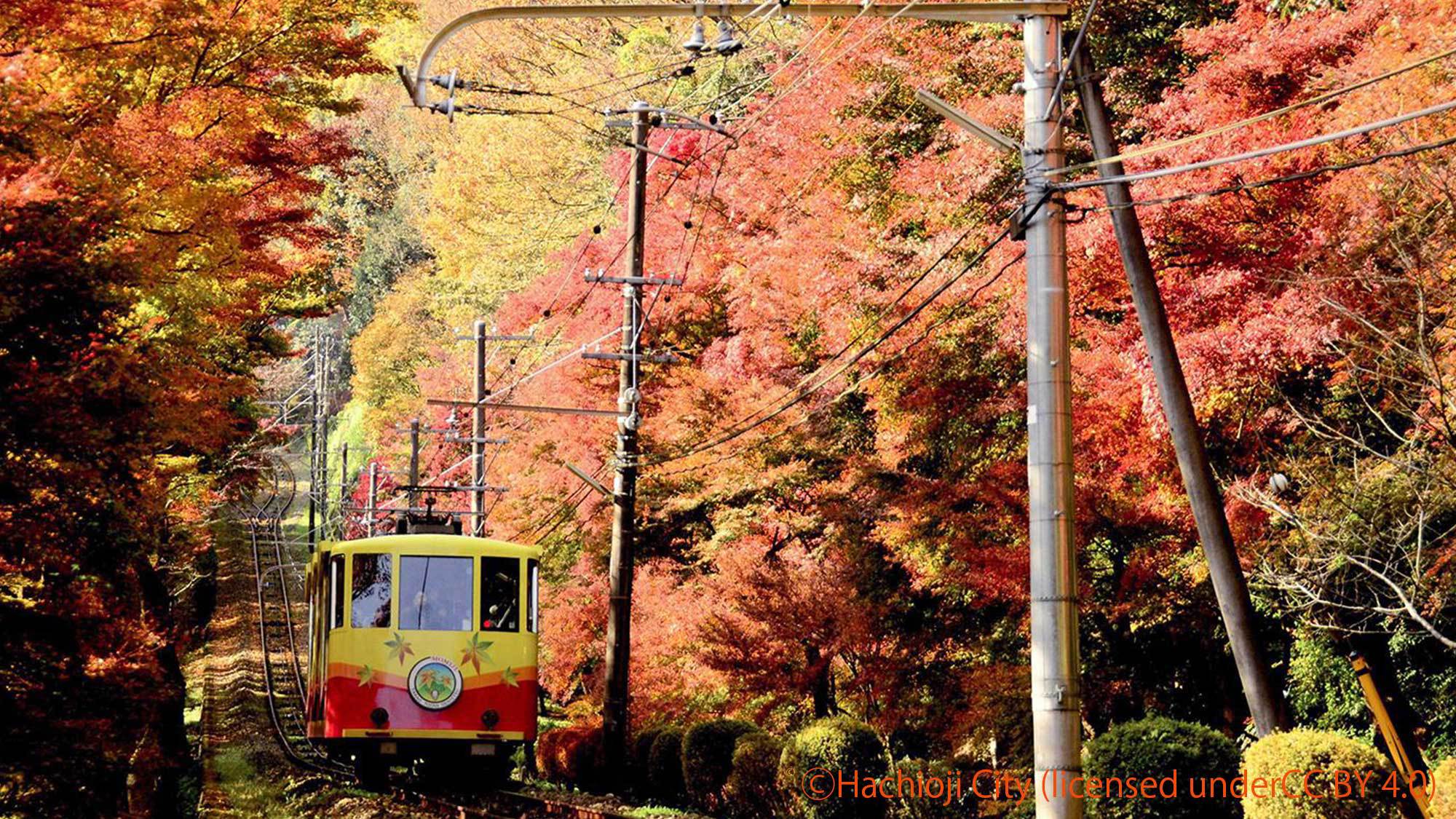 高尾山