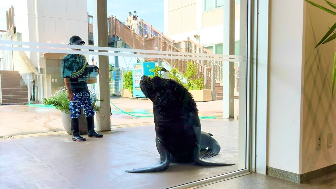 ロビーからの様子