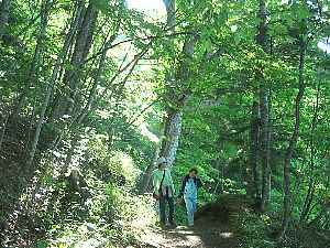 早朝散歩ツアー