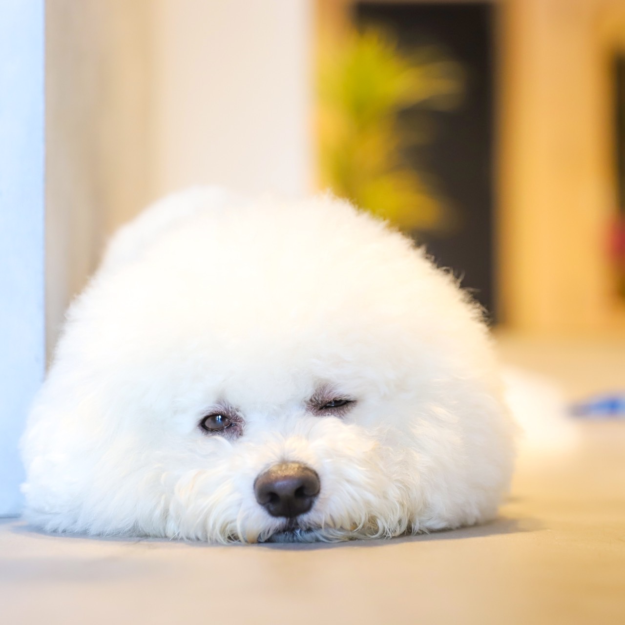 HOTEL 3O'CLOCK TENNOJI 宿泊予約【楽天