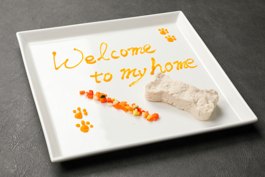 わが家へようこそウェルカムプレート