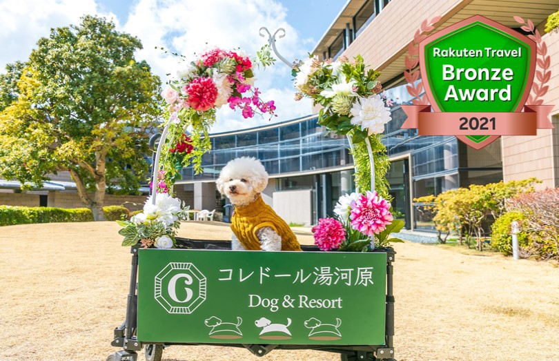 インスタ映えのフォトスタンドです。