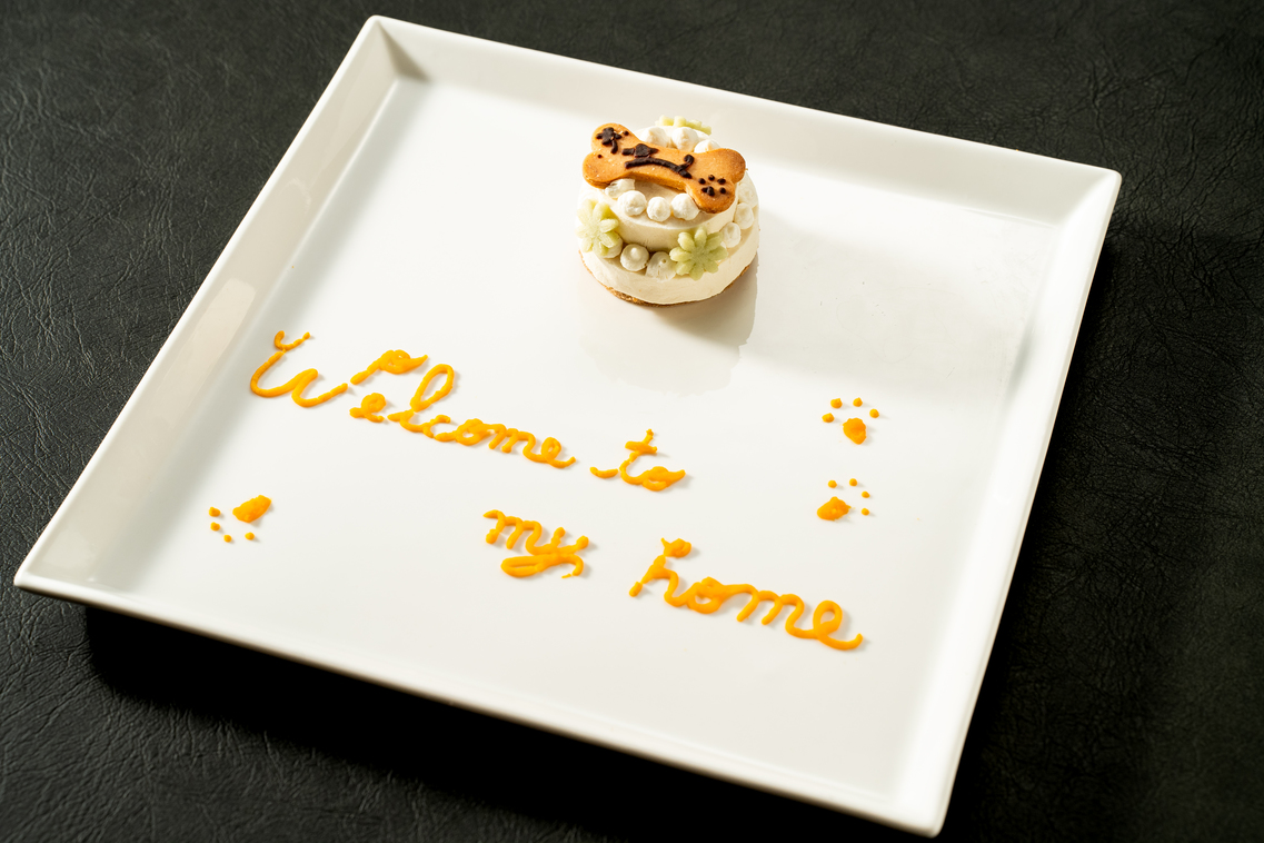 愛犬のデコレーションケーキプレート