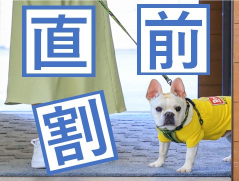 【直前割プランお日にち限定プラン】