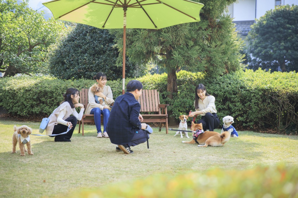 芝生ドッグランご利用風景