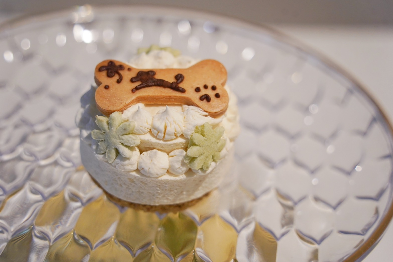 愛犬のデザートケーキ