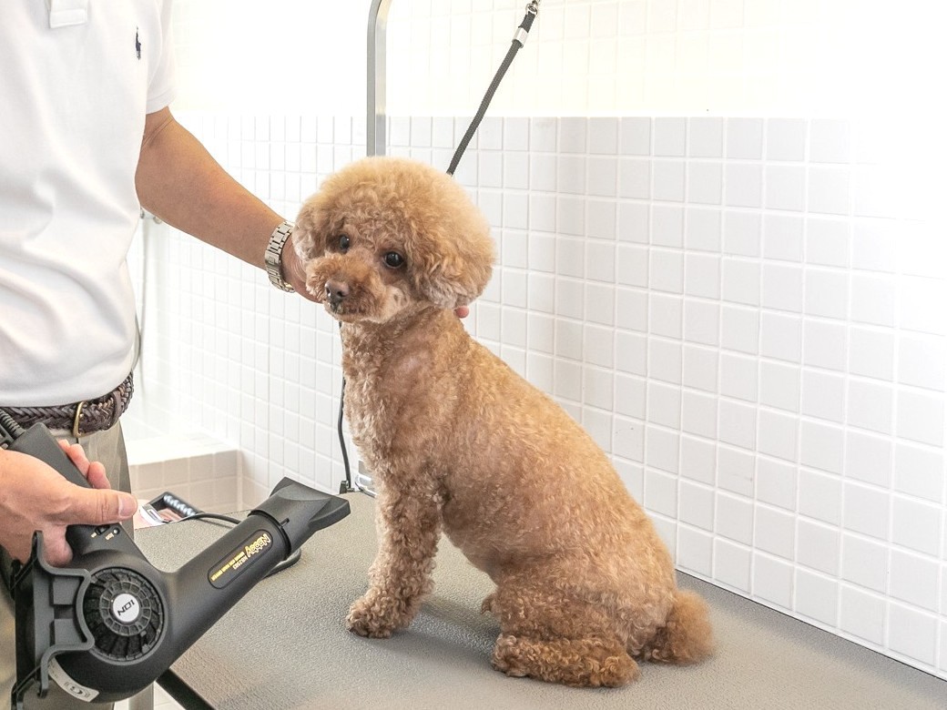 グルーミングルームご利用風景