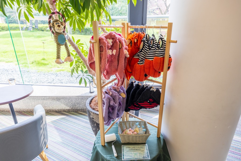 愛犬のお洋服お試しコーナー