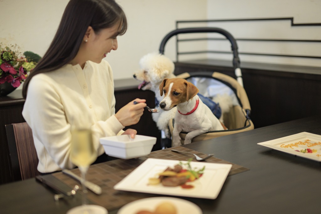 ダイニングルシアンお食事風景