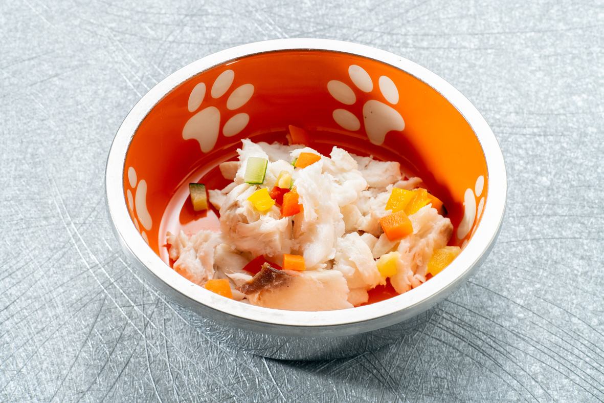 相模湾・駿河湾 地魚のバプール