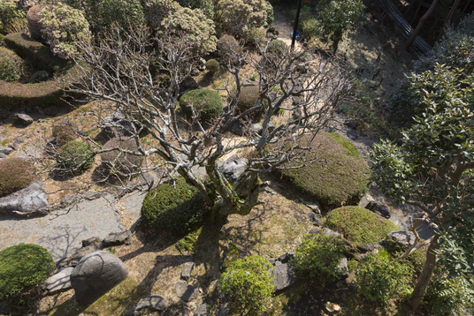 This photo about Caro Foresta Izukogen Cuore shared on HyHotel.com