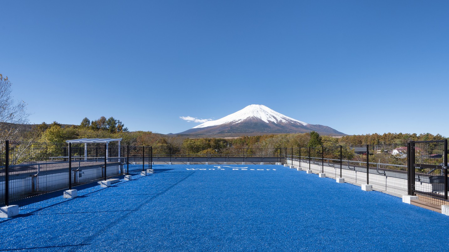 屋上dog park  天空