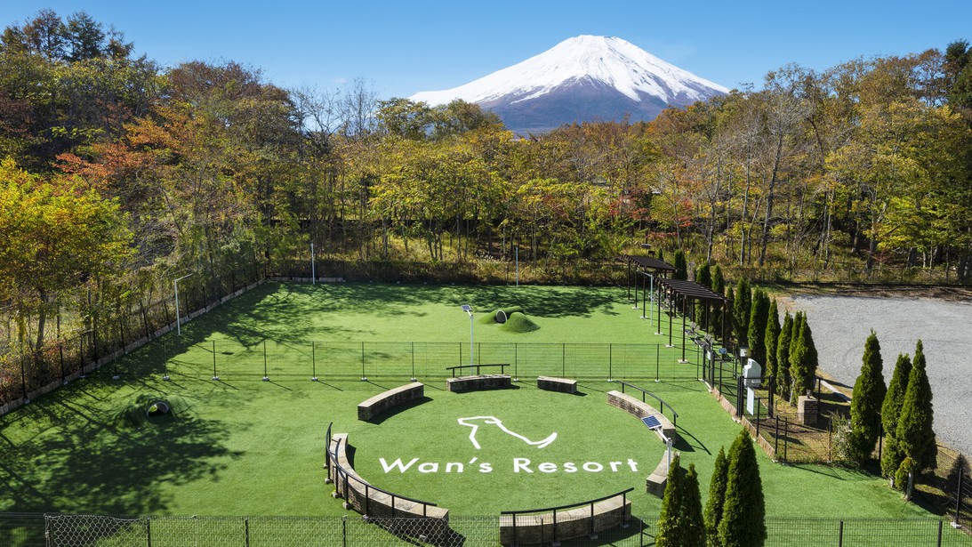 中庭dog park
