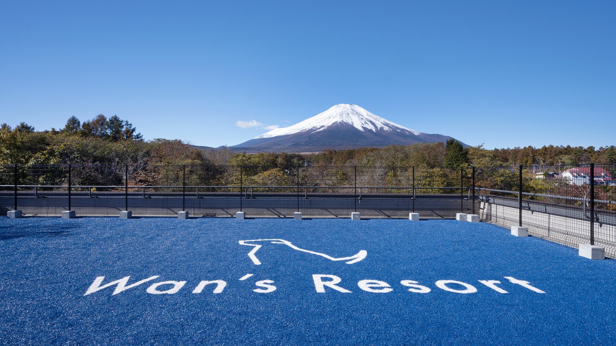 屋上dog park  天空