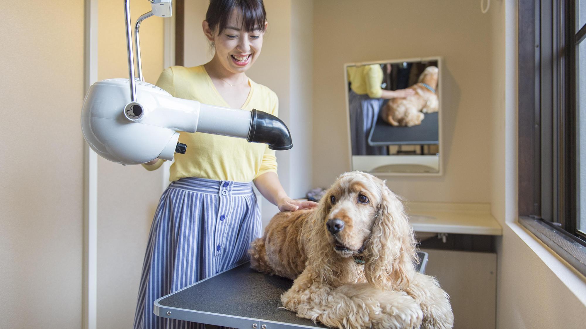 dog parkで思いきり遊んだあとにお風呂でスッキリしてみませんか?