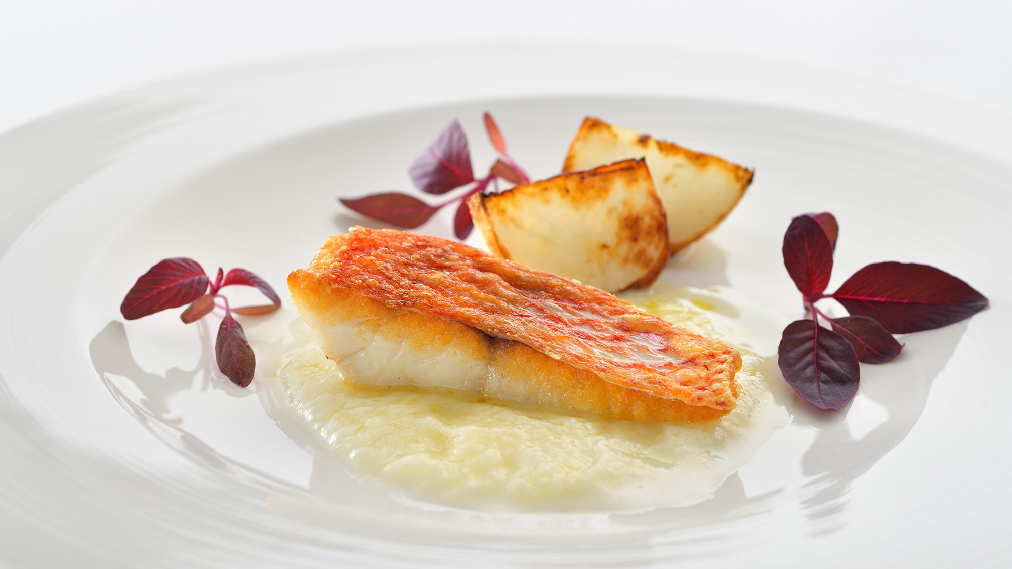 料理／イメージ