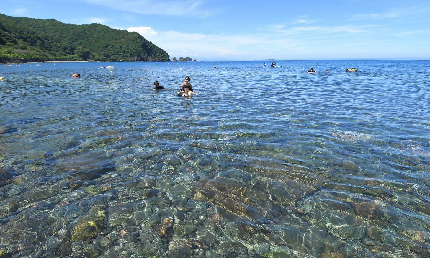 川奈海水浴場も当館から車で約8分！