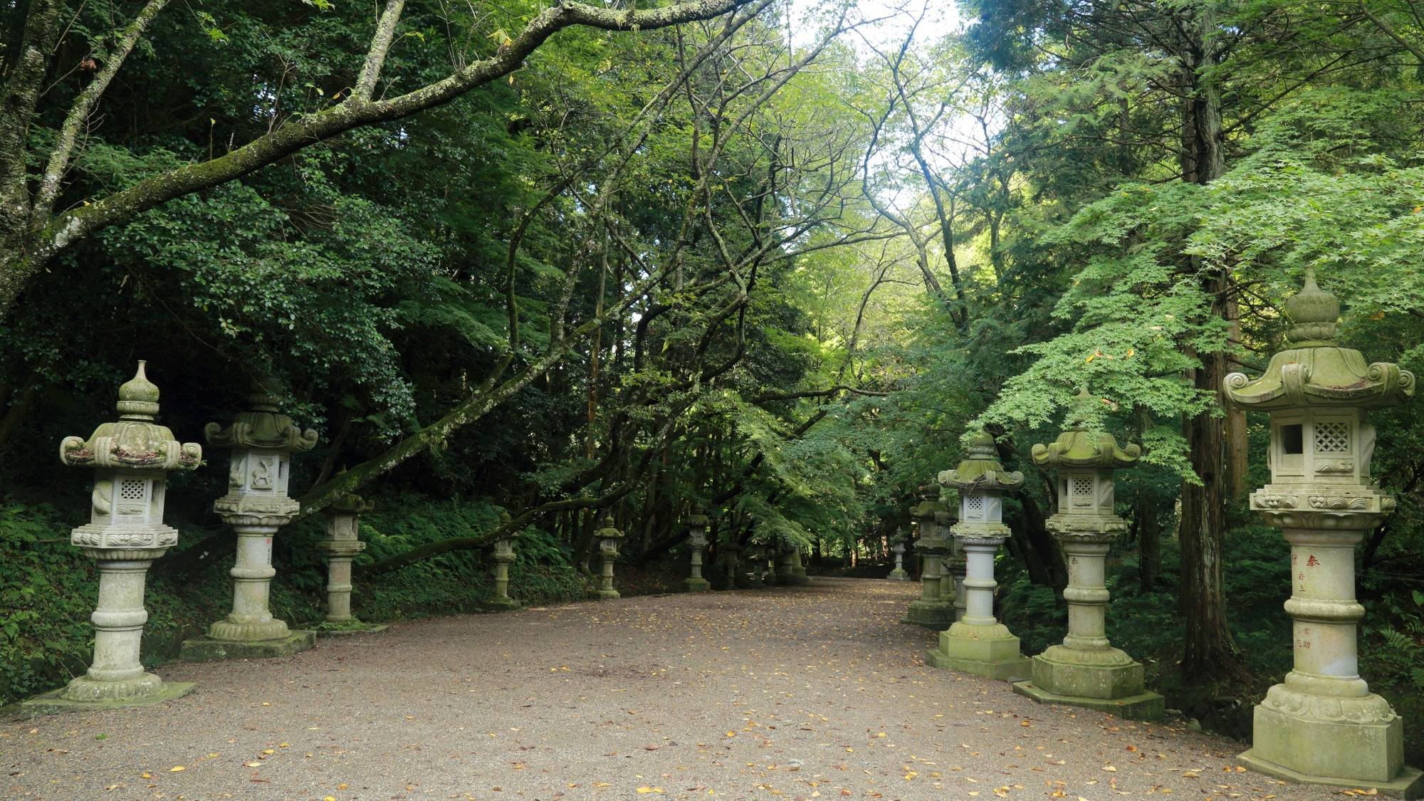 ・【香取神宮】桜や楓が植えられた参道