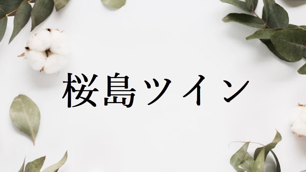 【桜島ツイン】桜島を望む洋室タイプの客室です。