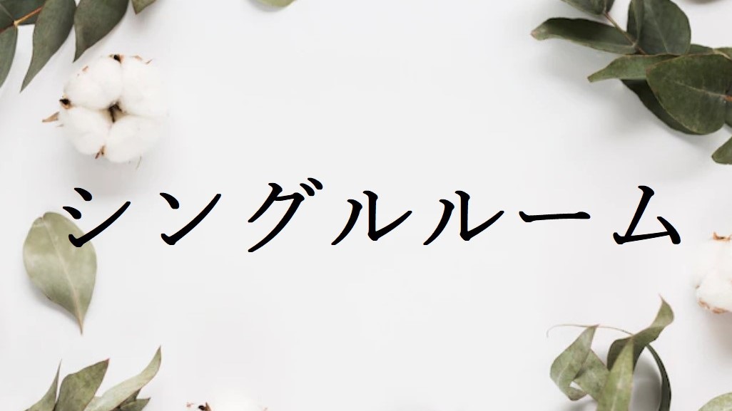 【シングル】おひとりでの観光、ビジネスにぴったりの客室です。